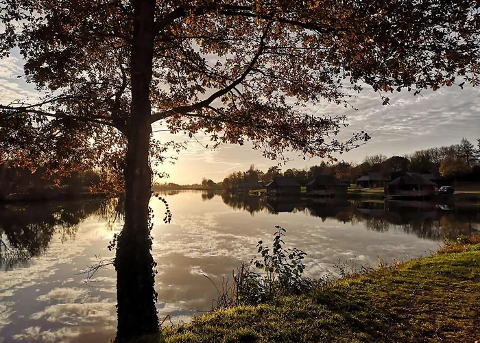 La Carpe * Villiers-Charlemagne